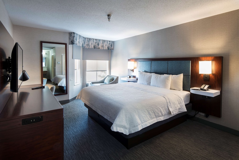 Suite, 1 King Bed, Non Smoking, Fireplace - Photo 2