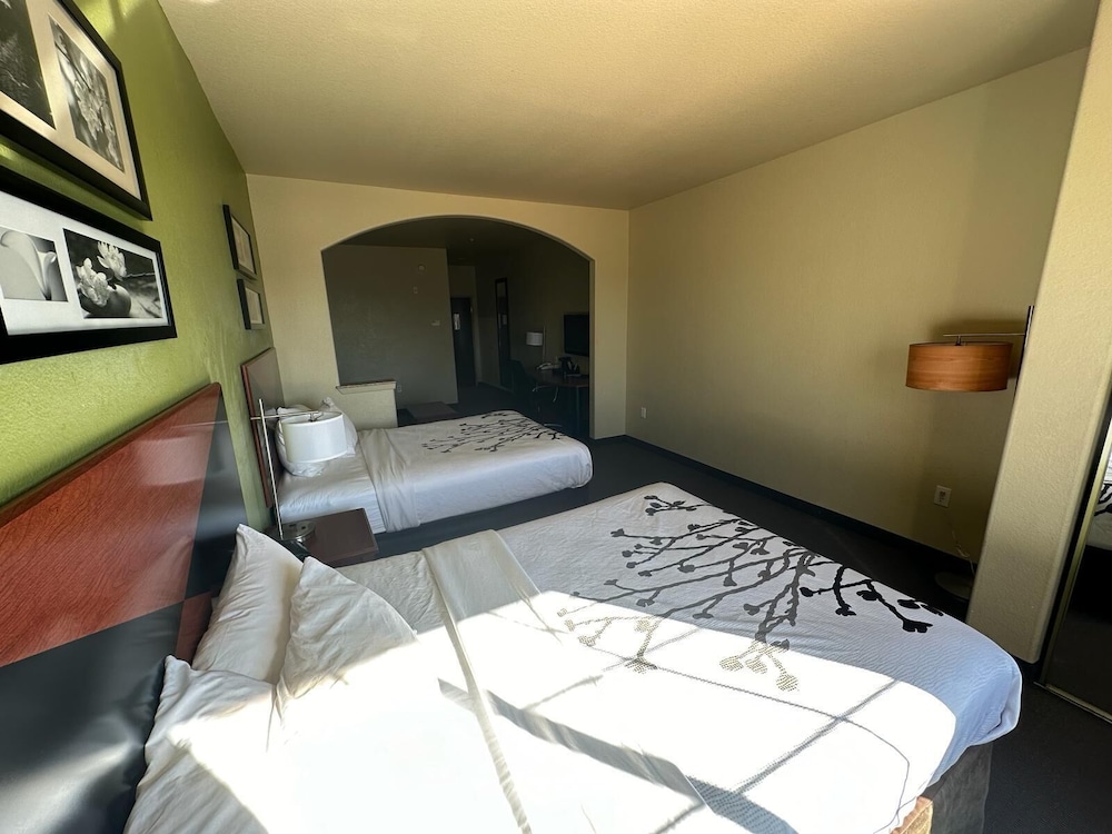 Suite, Multiple Beds, Accessible, Non Smoking photo 2