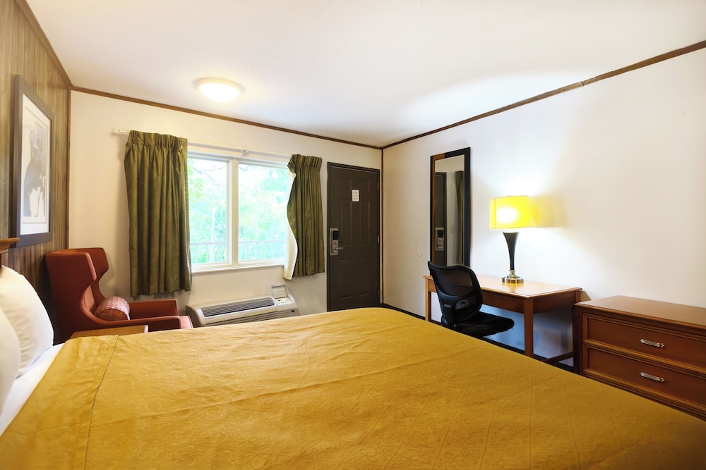 Room, 1 King Bed, River View photo 3