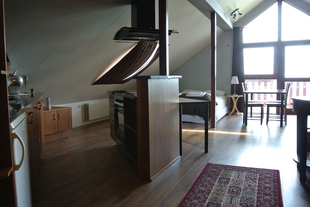 Apartment, 1 Bedroom photo 3