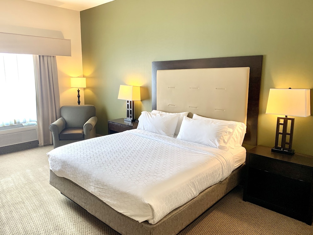 Suite, 1 King Bed with Sofa bed photo 2