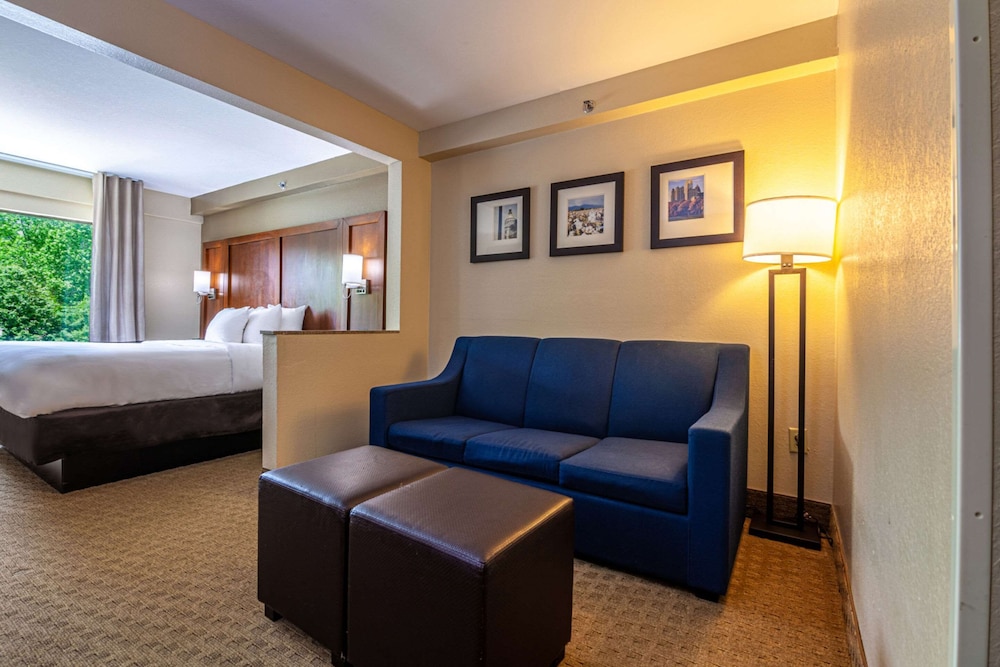 Suite, 1 King Bed with Sofa bed, Accessible, Non Smoking - Photo 2