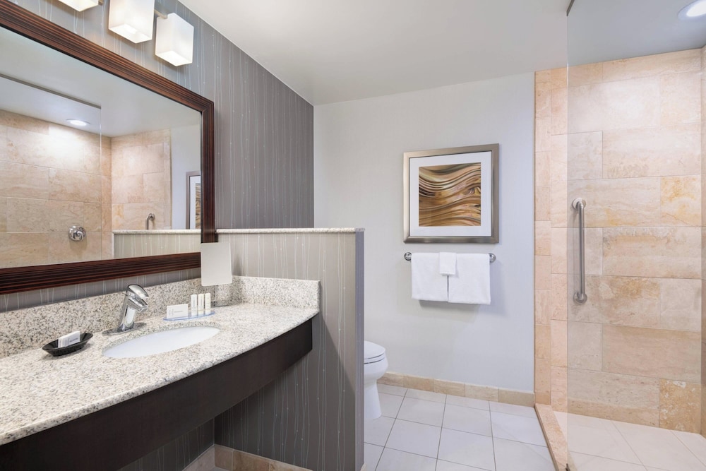 Suite, 1 Bedroom - Photo 9