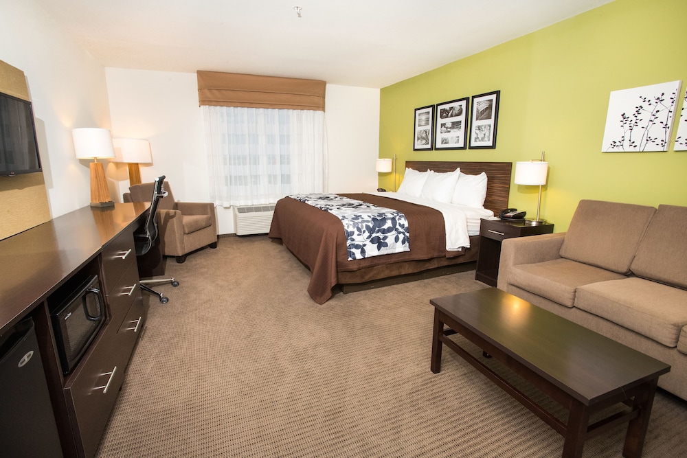 Suite, 1 King Bed with Sofa bed, Non Smoking photo 3
