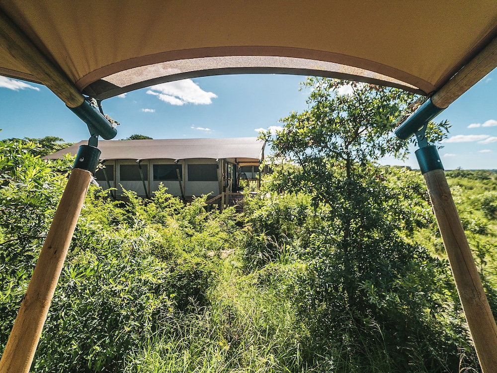 Luxury Tent - Photo 4
