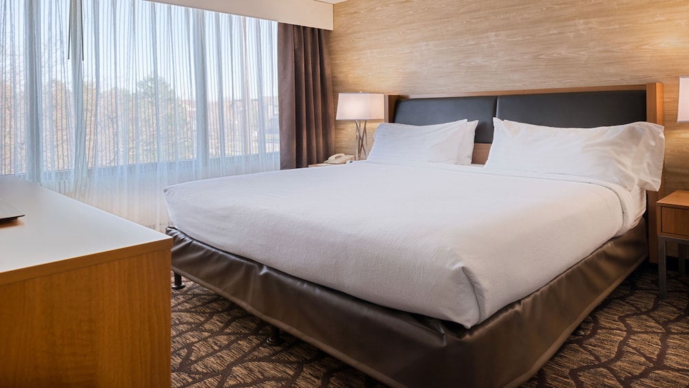 Suite, 1 King Bed - Photo 5