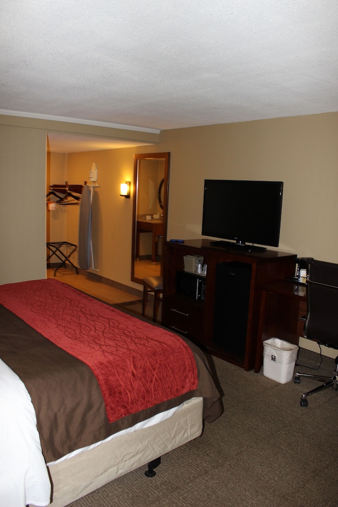 Standard Room, 1 King Bed, Non Smoking, City View photo 3