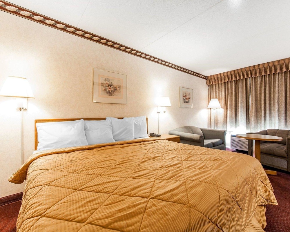 Standard Room, 1 King Bed, Non Smoking