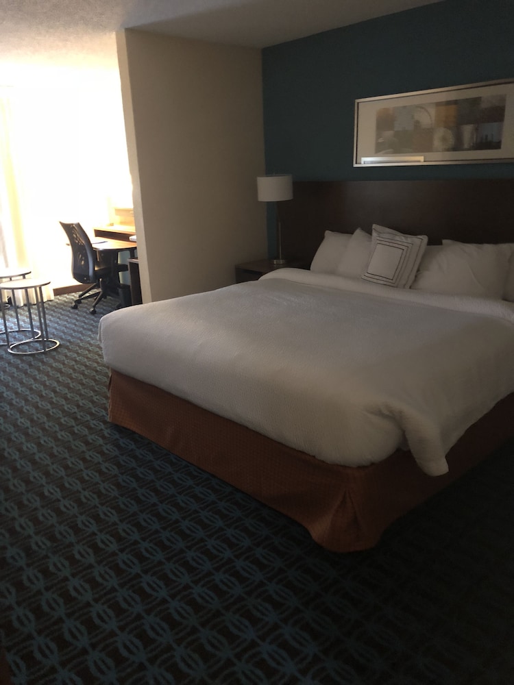 Room, 1 King Bed with Sofa bed