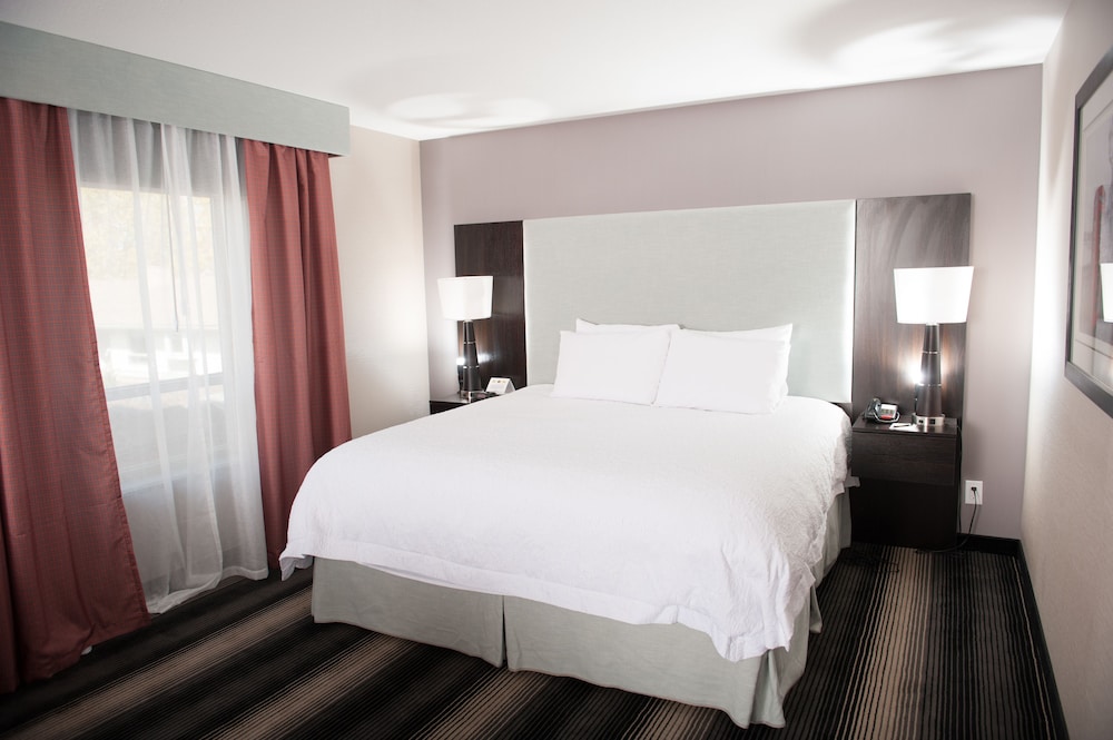 Executive Suite, 1 King Bed photo 1