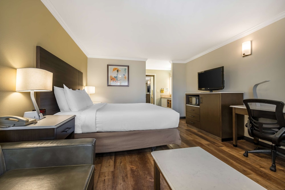 Business Room, 1 King Bed, Non Smoking, Microwave - Photo 3