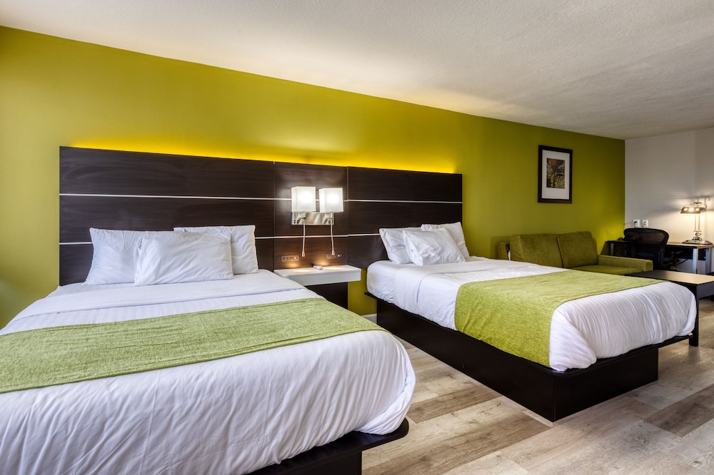 Grand Studio Suite, Multiple Beds, Non Smoking, Refrigerator & Microwave photo 3