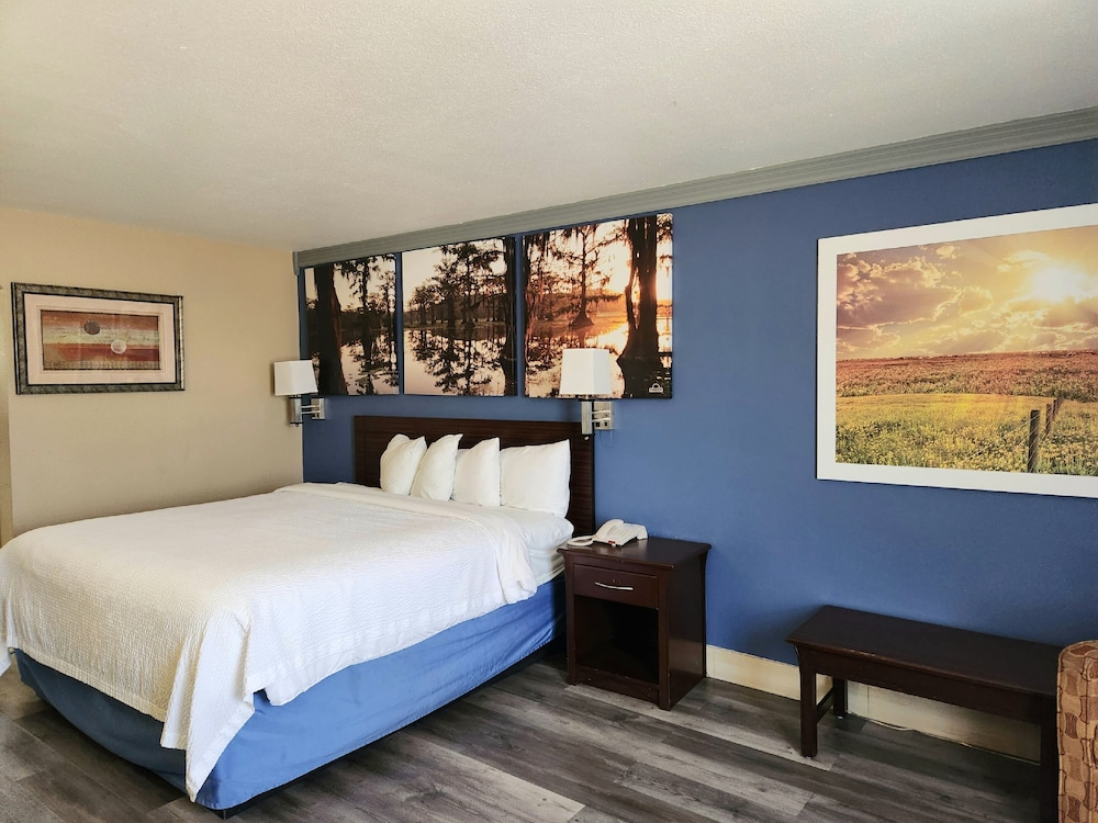 Room, 1 King Bed, Non Smoking - Photo 6