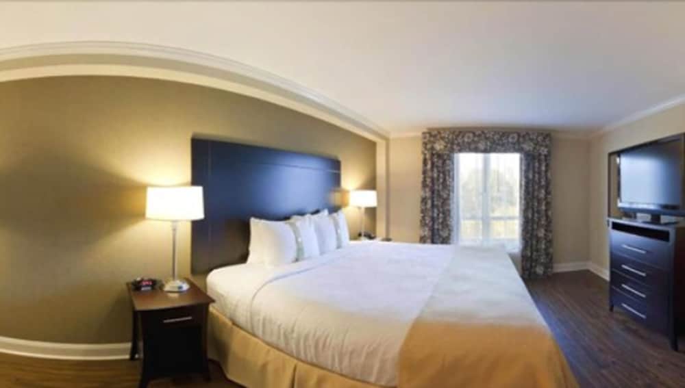 Standard Room, 1 King Bed, Accessible (Comm, Mobil, Accessible Tub) - Photo 1