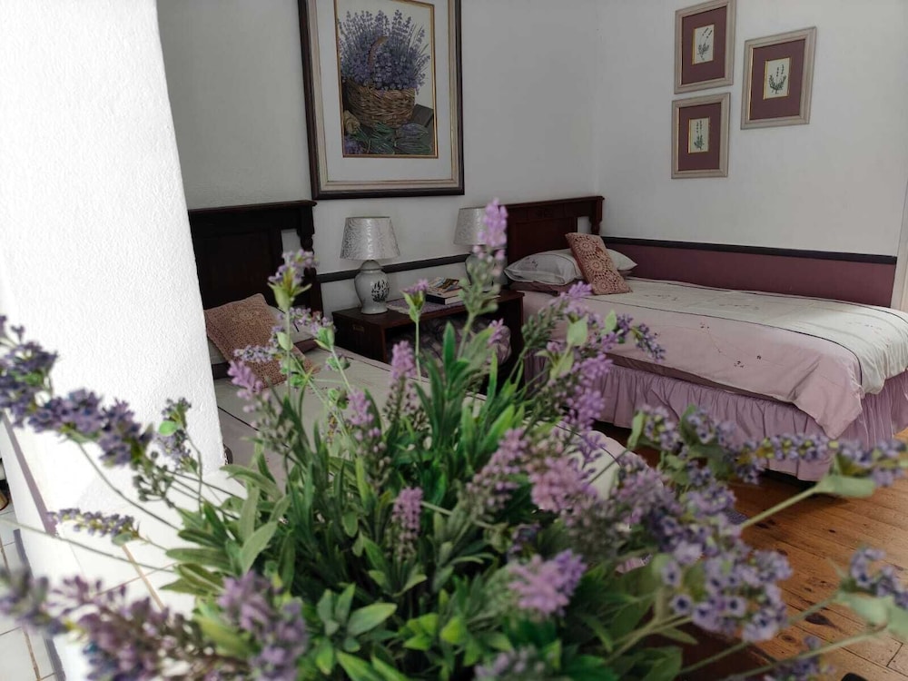 Standard Twin Room, Garden View photo 3