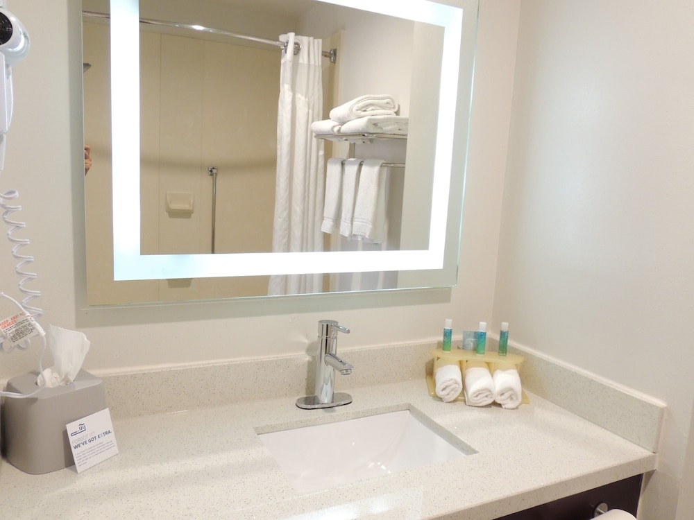 Suite, 1 Bedroom, Accessible (Mobility, Accessible Tub) - Photo 3