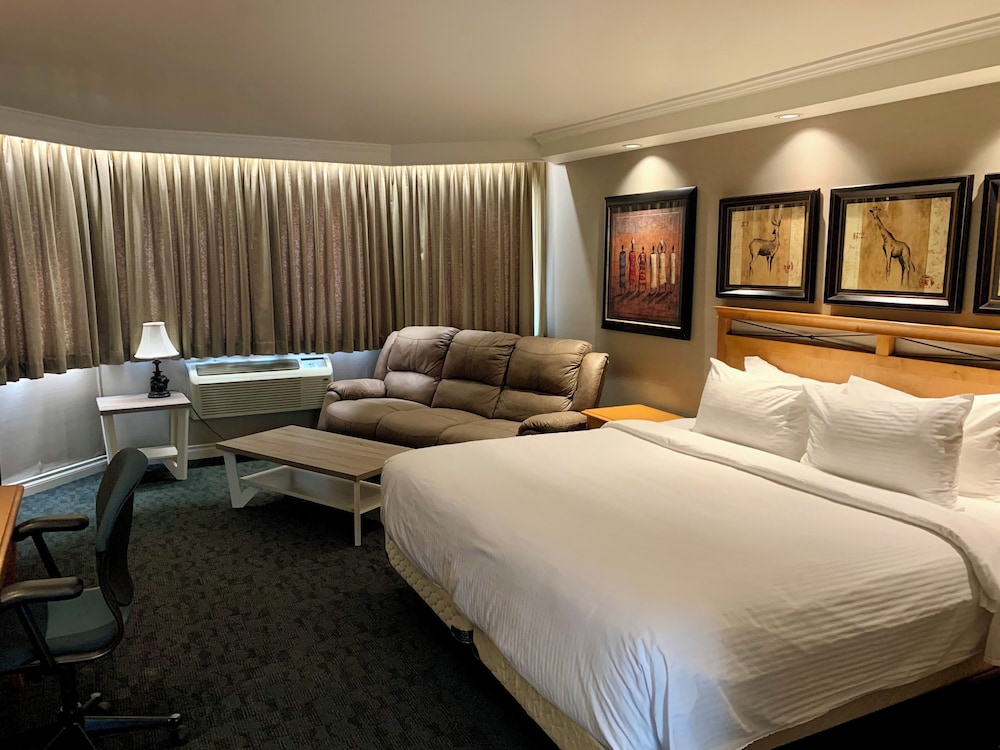 Jacuzzi Room photo 1