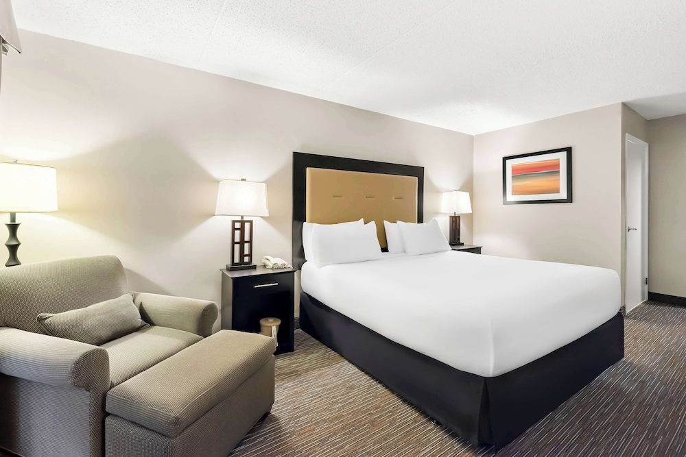 Room, 1 King Bed