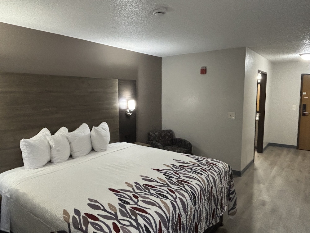 Superior Room, 1 King Bed, Accessible, Non Smoking - Photo 1