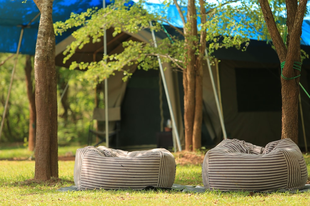 Glamping bordering Udawalawe with guided Bush walk photo 3