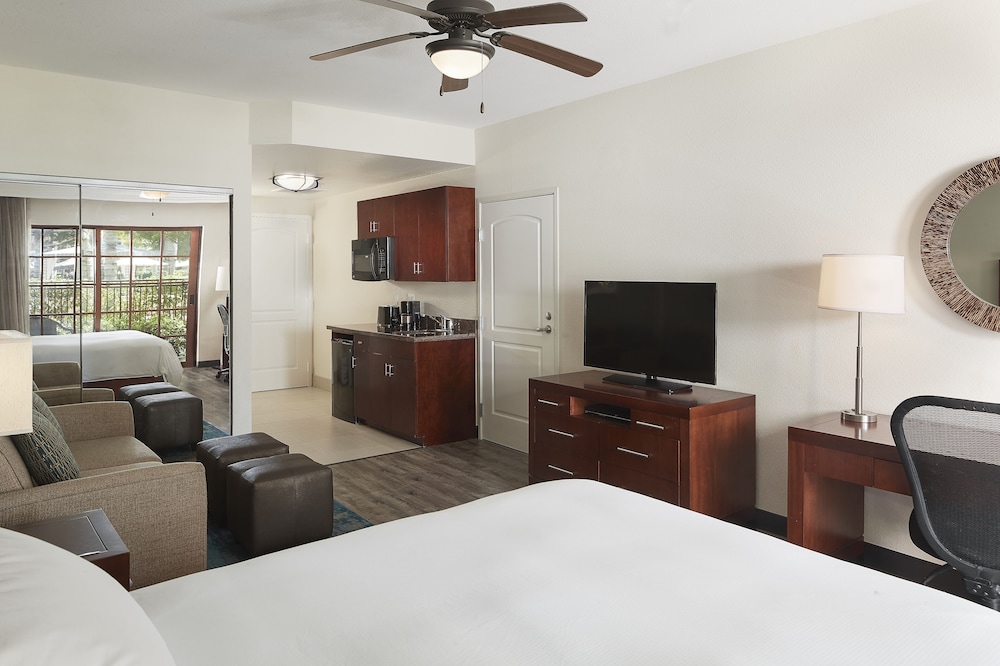 Luxury Studio Suite, 1 King Bed, Microwave photo 2
