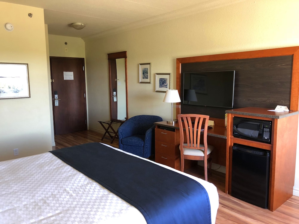Comfort Double Room Single Use, 1 Queen Bed, Pool View photo 3