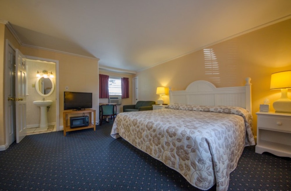 Basic Room, 1 King Bed, Refrigerator & Microwave photo 1