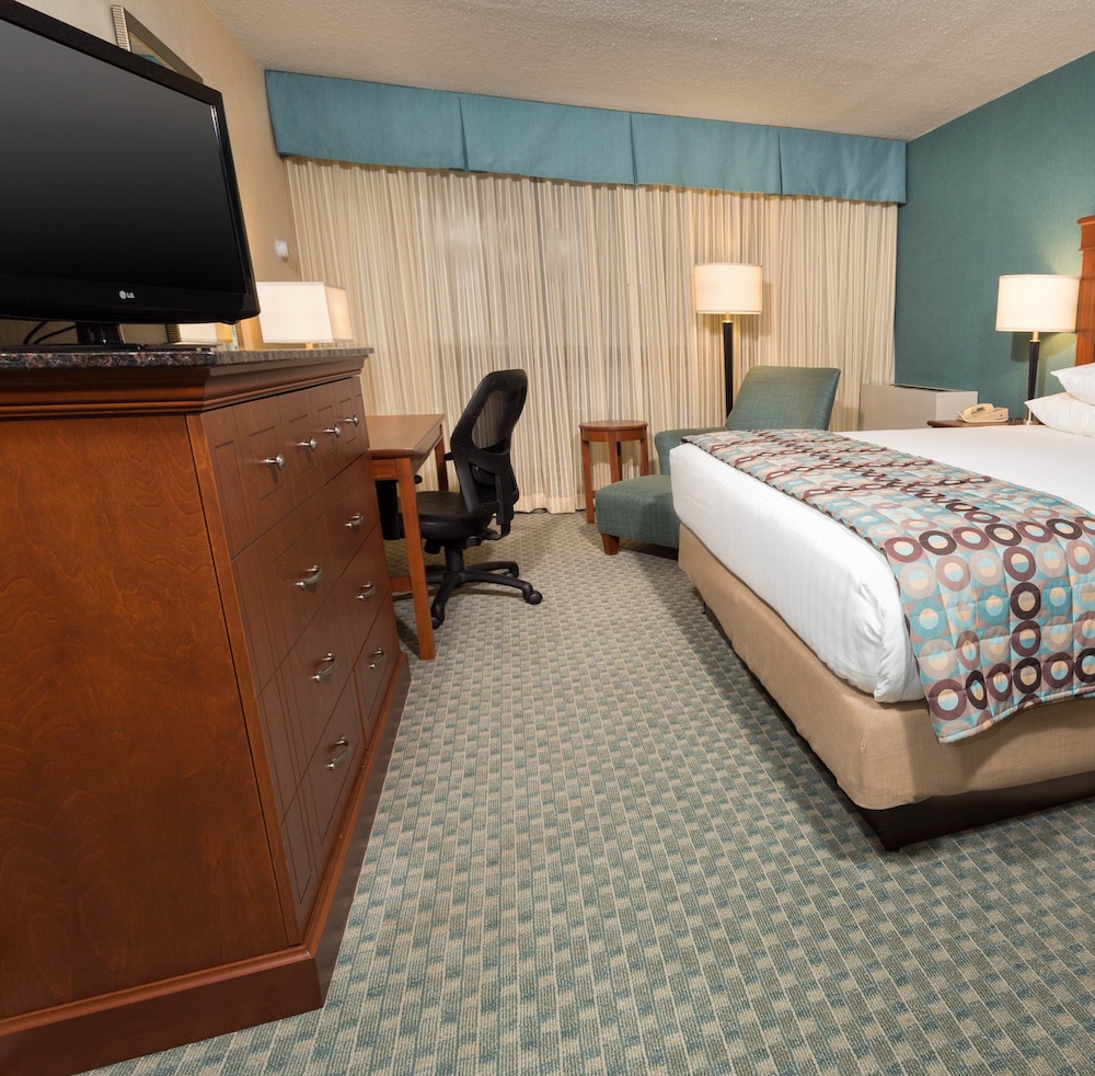Deluxe Room, 1 King Bed with Sofa bed, Refrigerator & Microwave photo 3