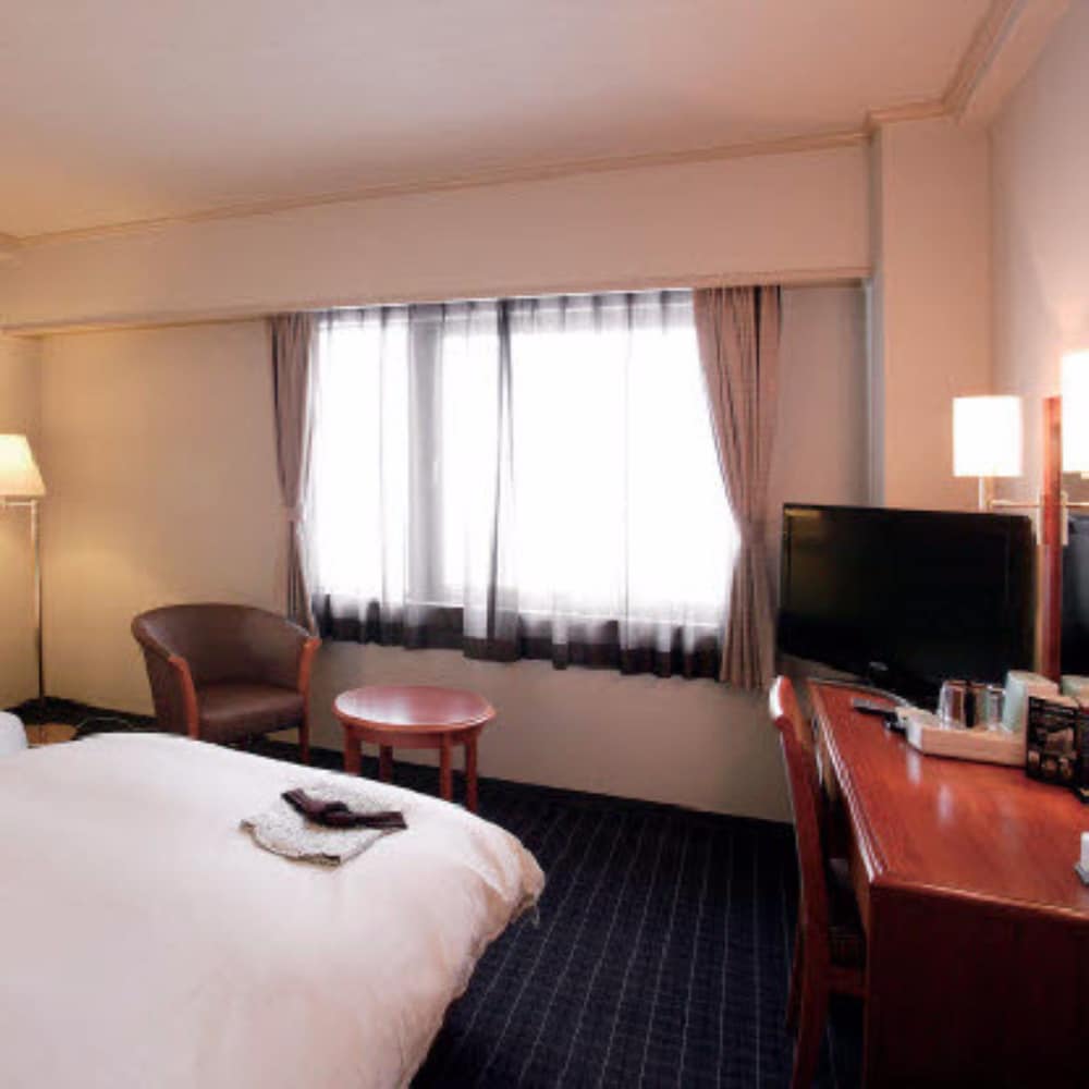 Double Room, Single Use, Non Smoking photo 2