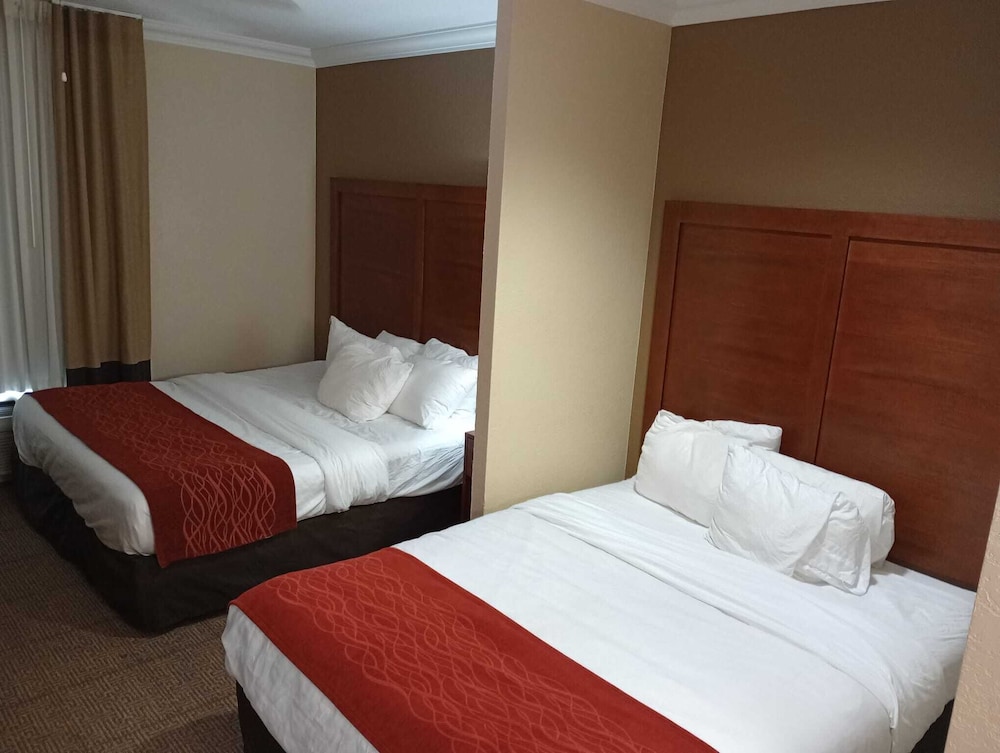 Deluxe Room, Multiple Beds photo 3