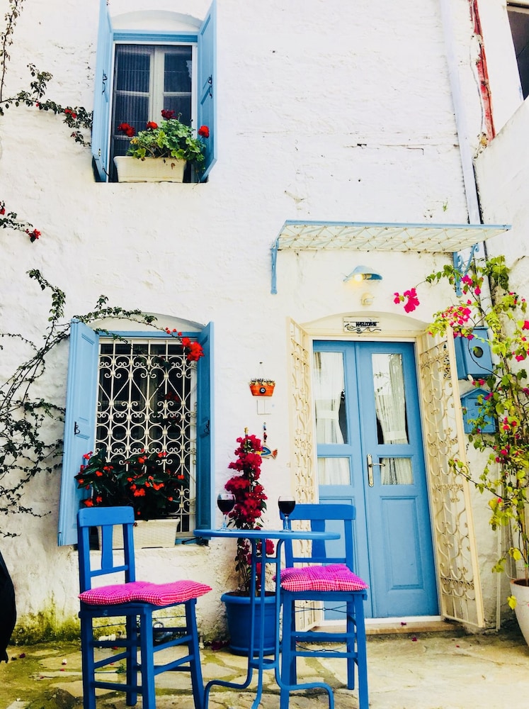 Traditional House