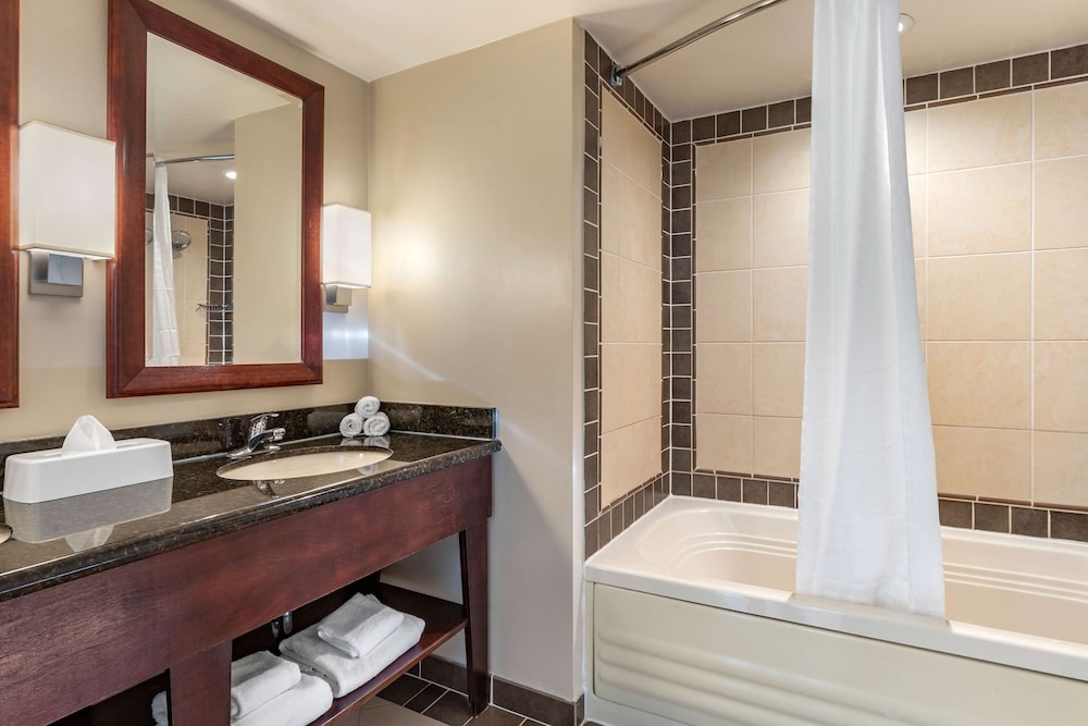 Suite, 1 Bedroom - Photo 19