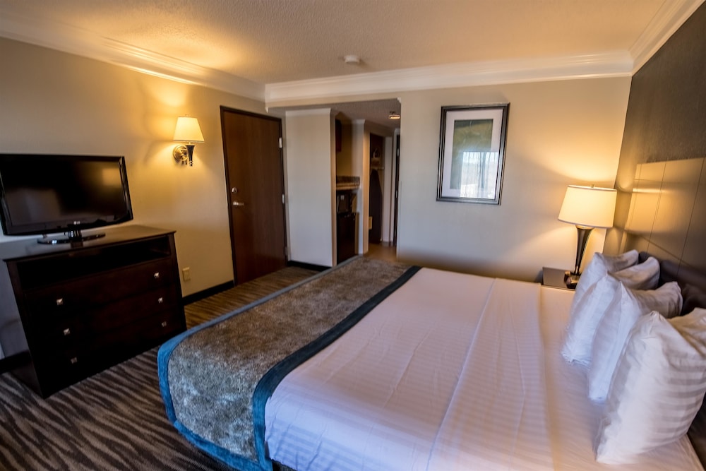 Standard Room, 1 King Bed, Accessible, Non Smoking - Photo 2