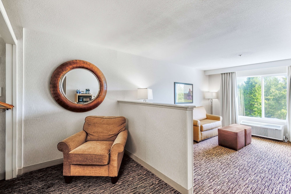 Room, 1 King Bed, Accessible