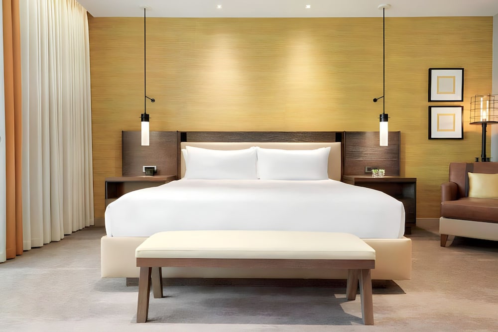 Room, 1 King Bed, Accessible (Hearing) photo 3