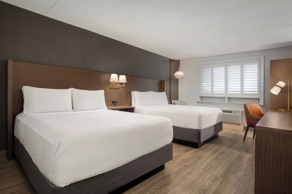 Suite, 1 Bedroom