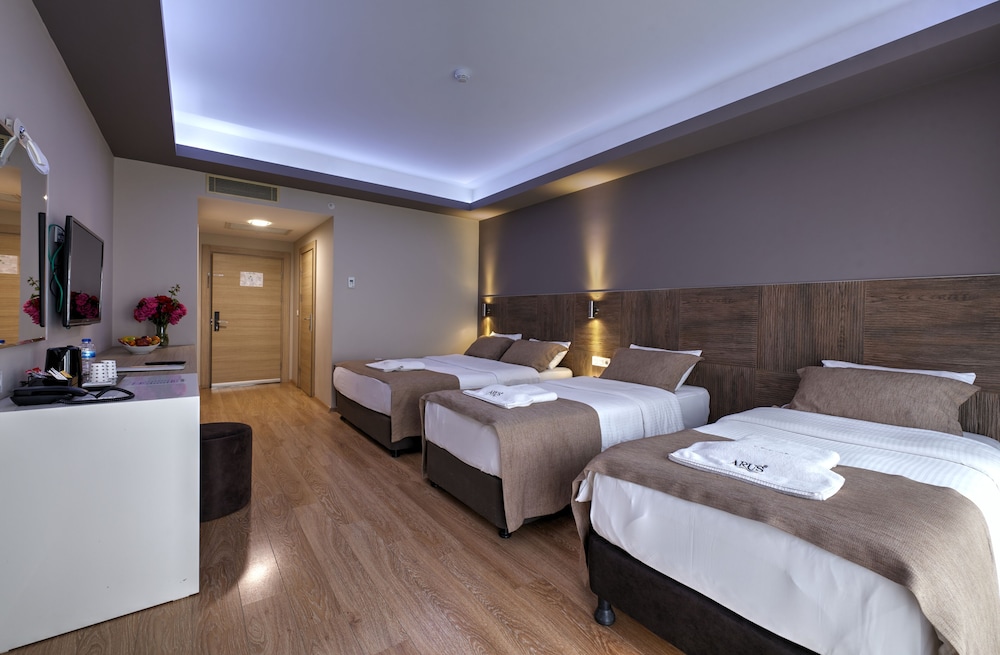 Family Quadruple Room, Multiple Beds photo 3