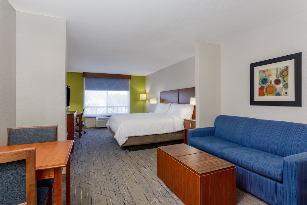 Suite, 1 King Bed - Photo 1