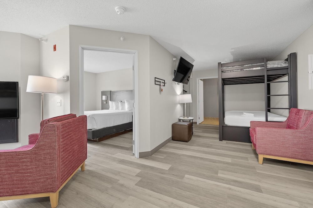 Suite, Multiple Beds (Bunk) photo 2