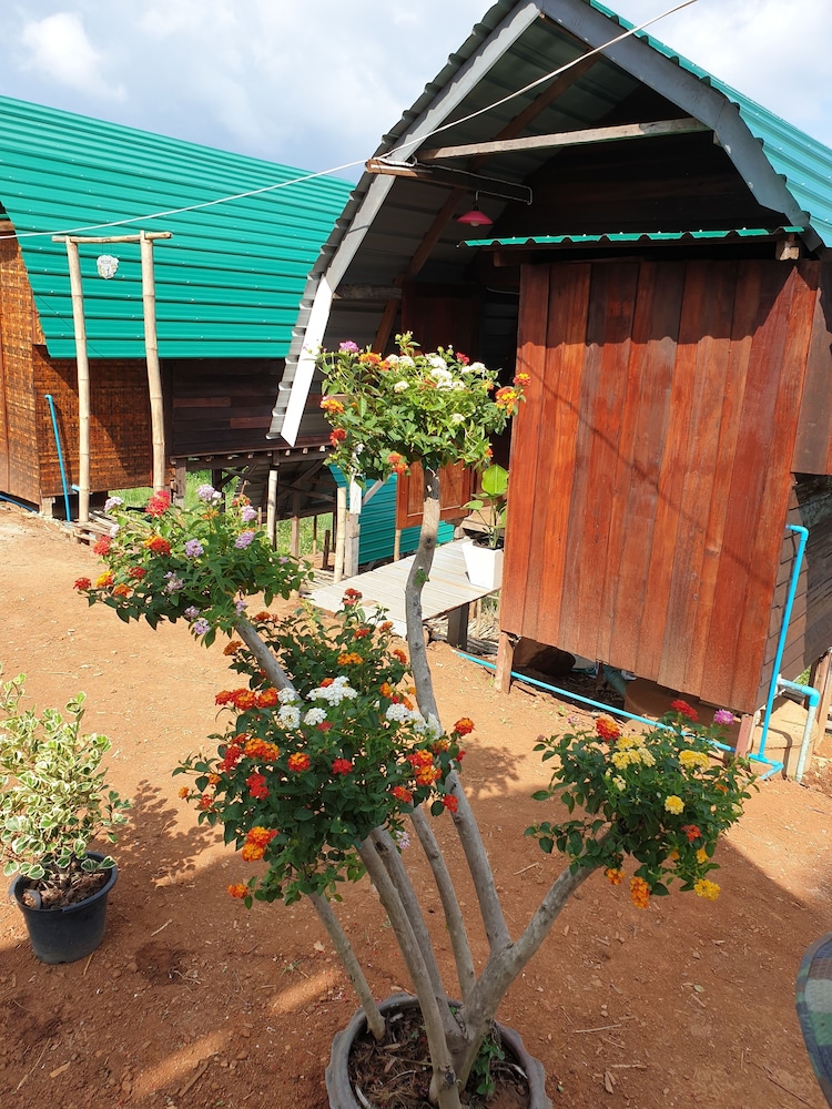 Bungalow photo 3