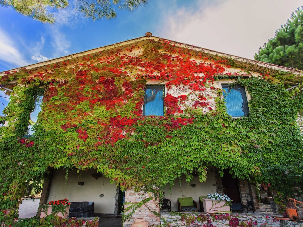 Classic House, 2 Bedrooms photo 2