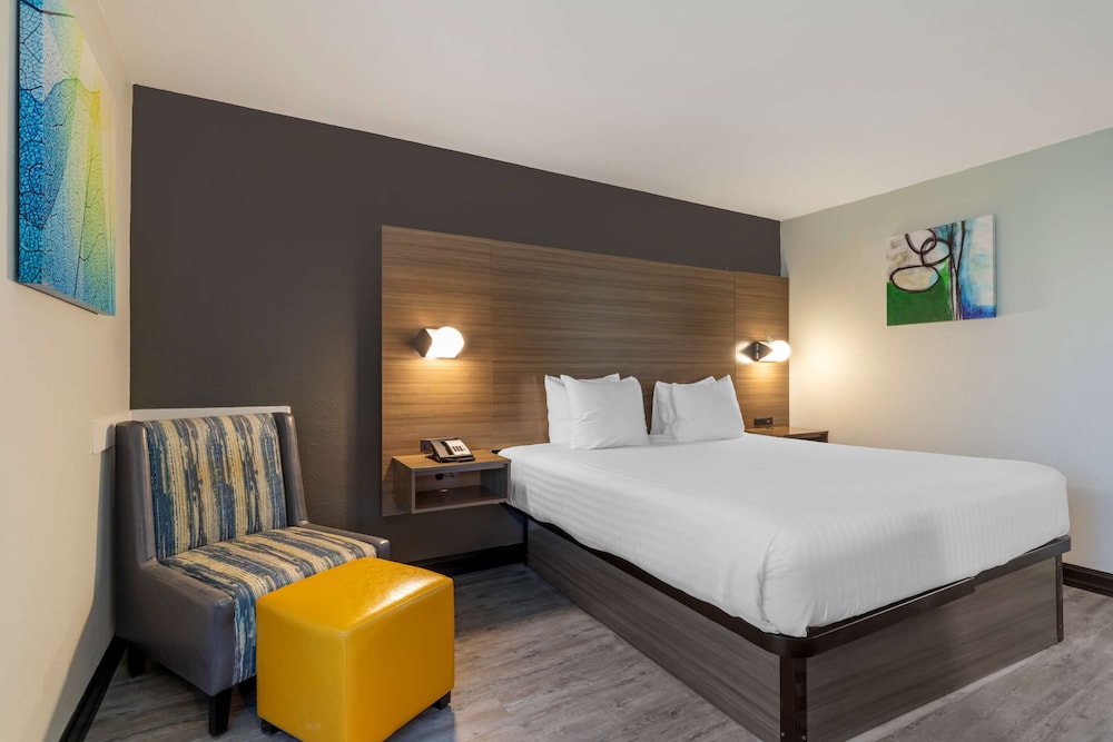 Standard Room, 1 King Bed, Accessible, Refrigerator & Microwave (Refrigerator & Microwave) - Photo 2