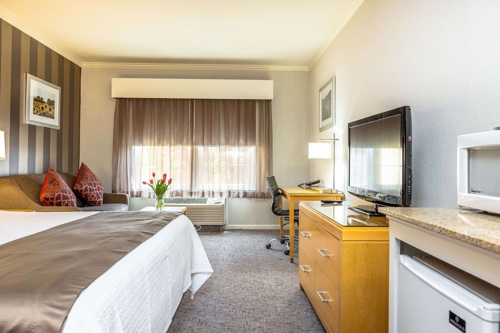 Standard Room, 1 King Bed, Non Smoking, Refrigerator & Microwave (Interior Corridor) - Photo 2