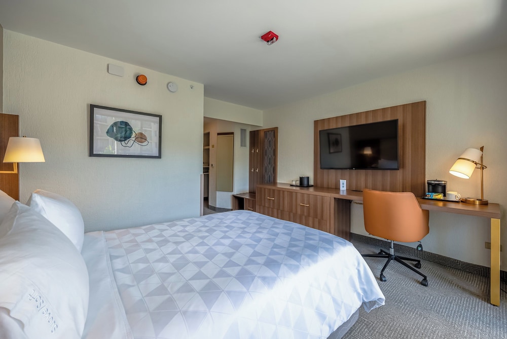 Standard Room, 1 Double Bed, Accessible photo 2