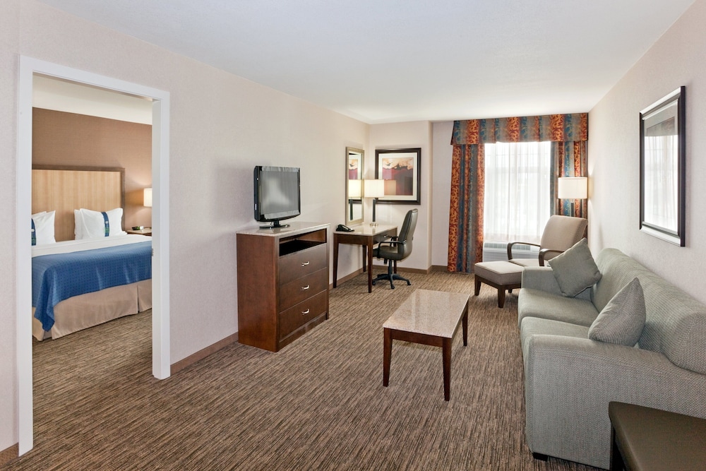 Suite, 1 King Bed, Accessible