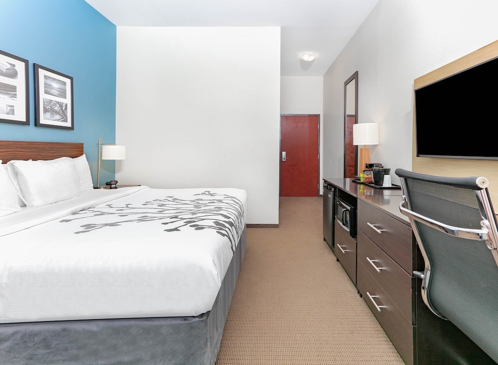 Deluxe Suite, 1 King Bed, Accessible, Non Smoking photo 3