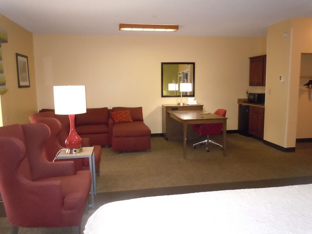 Suite, 1 King Bed, Non Smoking photo 1
