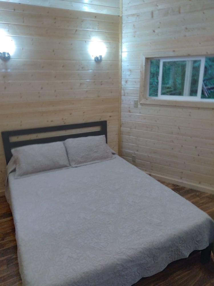 Yurt in the woods (Shared shower, Pet Friendly) photo 3