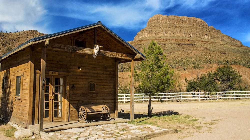 Cabin (Large Pine) photo 1
