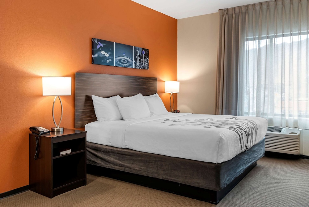 Standard Room, 1 King Bed, Non Smoking photo 1